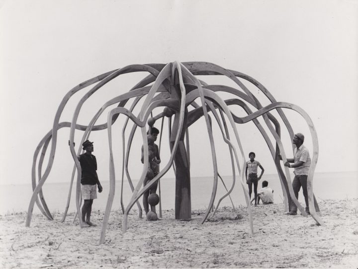 Obras de Frans Krajcberg ocupam o Masp em exposição especial