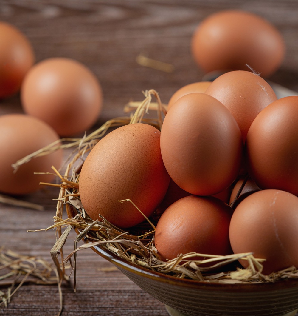 Gripe aviária: organização internacional garante que consumo de ovos e frango é seguro