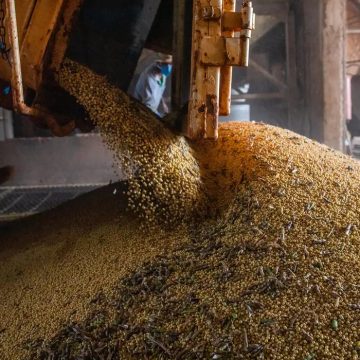 PIB atinge patamar recorde pelo 14º trimestre seguido