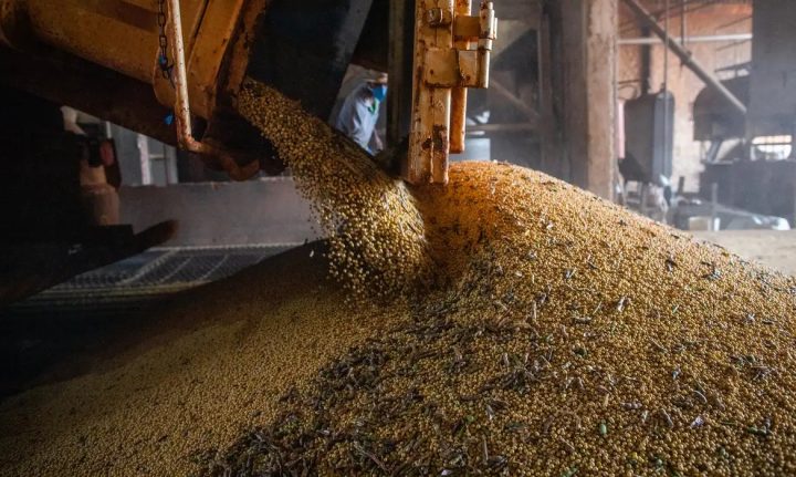 PIB atinge patamar recorde pelo 14º trimestre seguido