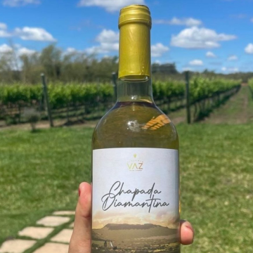 Rota do Vinho da Chapada Diamantina desperta interesse de profissionais do turismo, no Paraná e em São Paulo