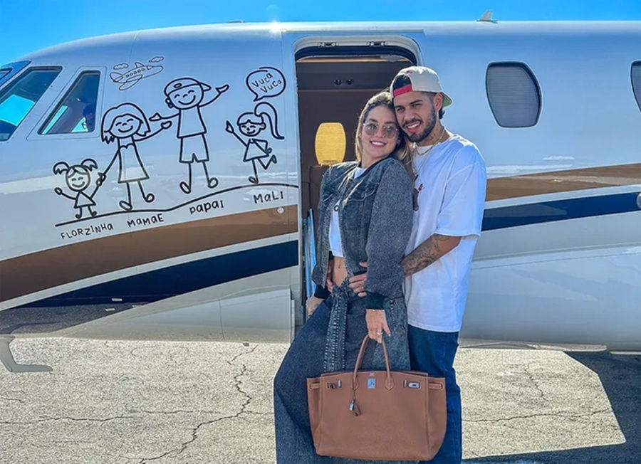 Virginia mandou remover desenho de família em jatinho? Assessoria explica