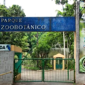 Zoológico de Salvador reabre após três meses em reforma