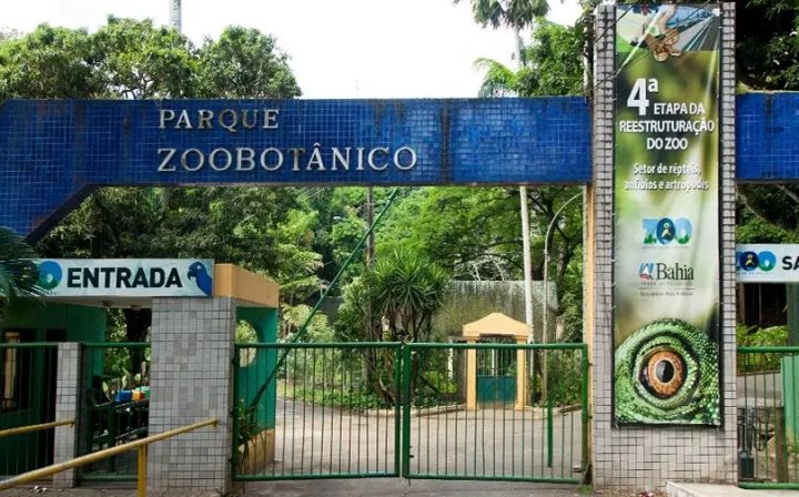 Zoológico de Salvador reabre após três meses em reforma