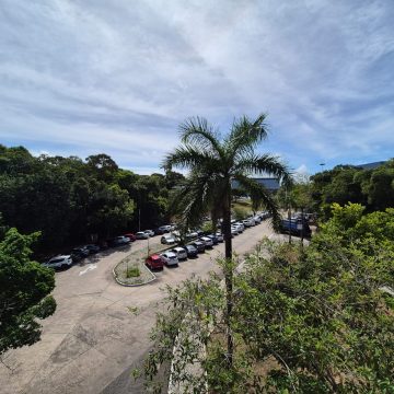 SDE lança Programa Carbono Neutro e se destaca como pioneira na agenda ESG do setor público no Brasil