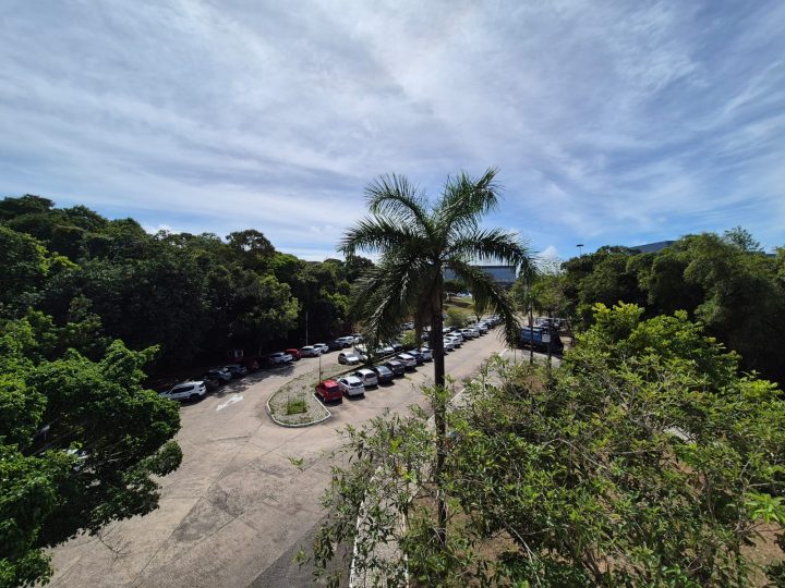 SDE lança Programa Carbono Neutro e se destaca como pioneira na agenda ESG do setor público no Brasil
