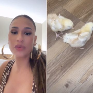 Simone Mendes volta a ganhar animais de presente e faz alerta: “Não sei mais o que fazer”
