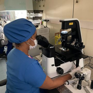 Reprodução assistida cresce 36% no Brasil; conheça os principais tratamentos