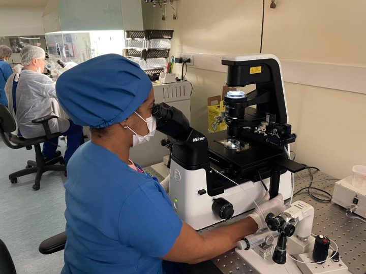 Reprodução assistida cresce 36% no Brasil; conheça os principais tratamentos
