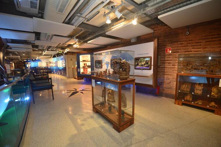 Museu do Mar Aleixo Belov tem programação especial para celebrar a Semana do Meio Ambiente; confira