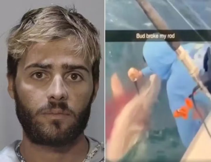 Pescador é preso após esfaquear tubarão que lhe roubou peixe: ‘Vingança’