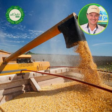 Marco histórico! Oeste da Bahia registra quase 9 milhões de toneladas de soja na safra 24/25