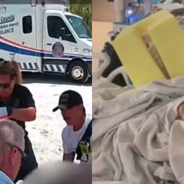 Criança atacada por tubarão recupera movimentos dos dedos após longa cirurgia