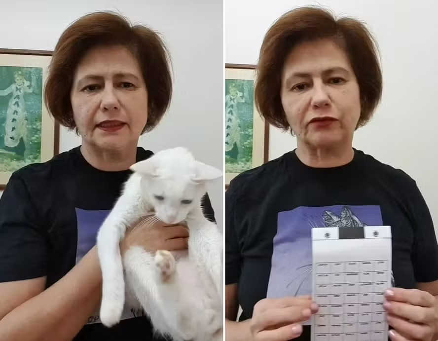 Narjara Tureta faz rifa para pagar tratamento do gato de estimação: ‘Não está fácil’
