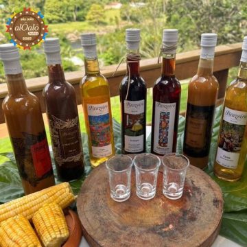 Licor baiano conquista o público e prepara para desembarcar na Europa