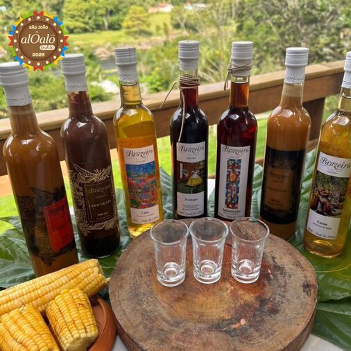 Licor baiano conquista o público e prepara para expandir sua atuação na Europa