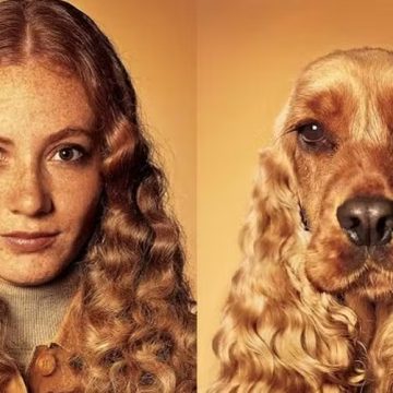 Por que os cães ficam parecidos com os tutores? A ciência explica