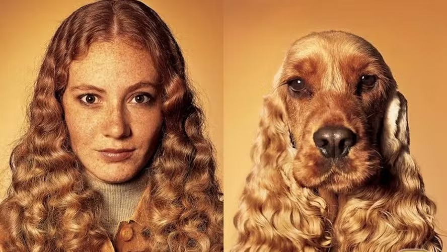 Por que os cães ficam parecidos com os tutores? A ciência explica