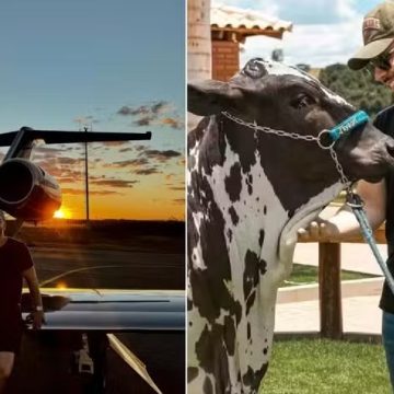 Vaca de R$ 2 milhões e jatinho: saiba o patrimônio de Murilo Huff, ex de Marília Mendonça