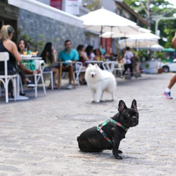 Casa Chálabi reabre no Rio Vermelho com cardápio líbano-mediterrâneo e espaço pet friendly 🐾🍽️