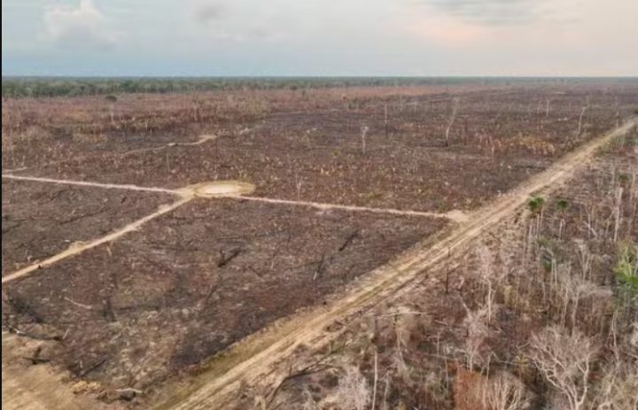 Desmatamento na Amazônia cai 30% e atinge menor nível desde 2015