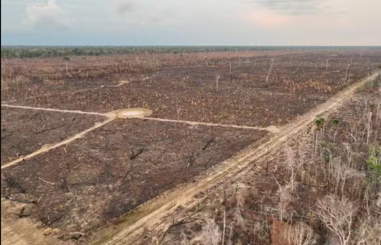 Desmatamento na Amazônia cai 30% e atinge menor nível desde 2015
