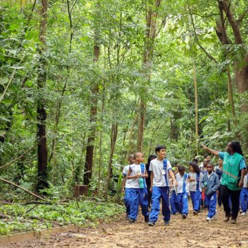 Jardim Botânico de Salvador recebe alunos em ação especial da Semana do Meio Ambiente