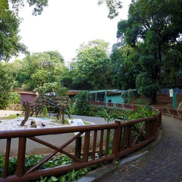Zoológico de Salvador veta animais da savana e secretário explica motivo: ‘Conscientização’