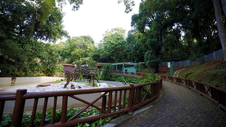 Zoológico de Salvador veta animais da savana e secretário explica motivo: ‘Conscientização’