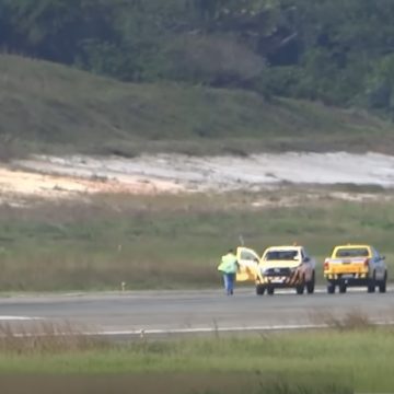 Operação resgate! Tatu invade pista do Aeroporto de Salvador e atrasa voo