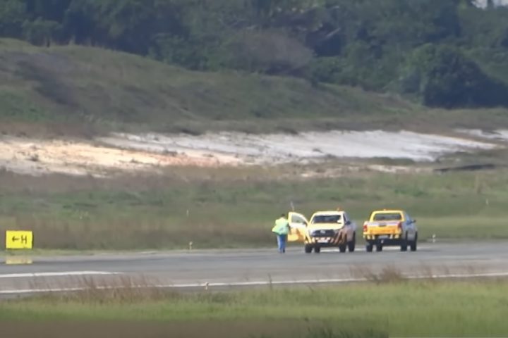 Operação resgate! Tatu invade pista do Aeroporto de Salvador e atrasa voo