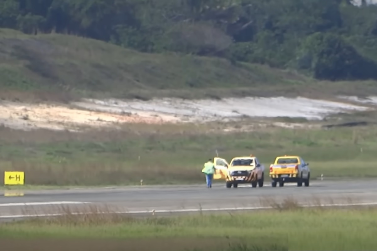 Operação resgate! Tatu invade pista do Aeroporto de Salvador e atrasa voo