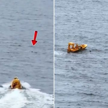 Pai se joga no mar para salvar filha que caiu de cruzeiro da Disney