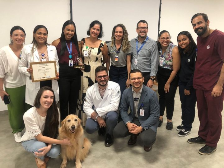 Golden retriever Lola celebra um ano como ‘cão terapeuta’ no Hospital Ortopédico da Bahia