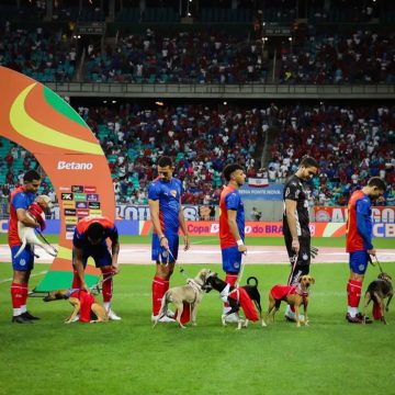 Com cães em campo, Bahia faz campanha de adoção animal na Fonte Nova