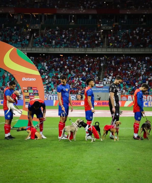 Com cães em campo, Bahia faz campanha de adoção animal na Fonte Nova