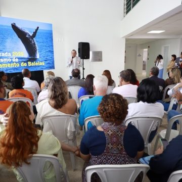 Bahia espera 30 mil baleias-jubarte até outubro e reforça turismo sustentável