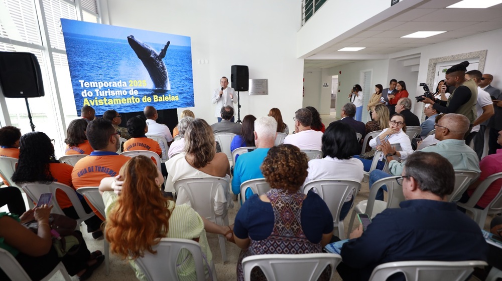 Bahia espera 30 mil baleias-jubarte até outubro e reforça turismo sustentável