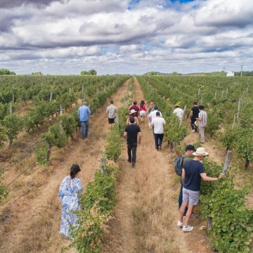 Bahia se destaca em rota internacional de enoturismo no Vale do São Francisco