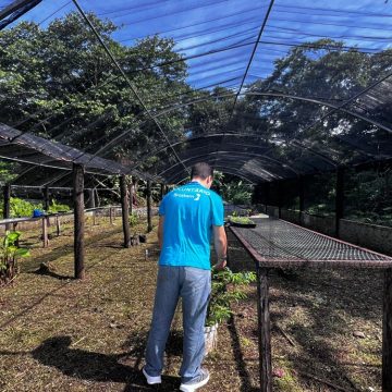 OSID tem viveiro requalificado em gincana que rendeu doação de R$ 10 mil à instituição