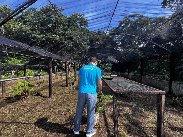 OSID tem viveiro requalificado em gincana que rendeu doação de R$ 10 mil à instituição