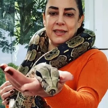 Criadora de cobras, Silvia Abravanel já foi atacada: ‘Sangrou muito’