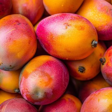 Preço da manga tem queda de 54% nos mercados da Bahia