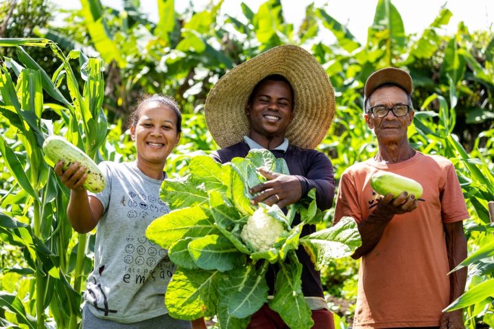 Bahia lança Plano Safra com R$ 4 bilhões destinados à agricultura familiar