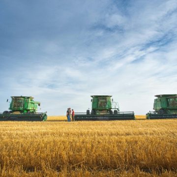 Agronegócio brasileiro exportou US$ 82 bilhões no primeiro semestre de 2025