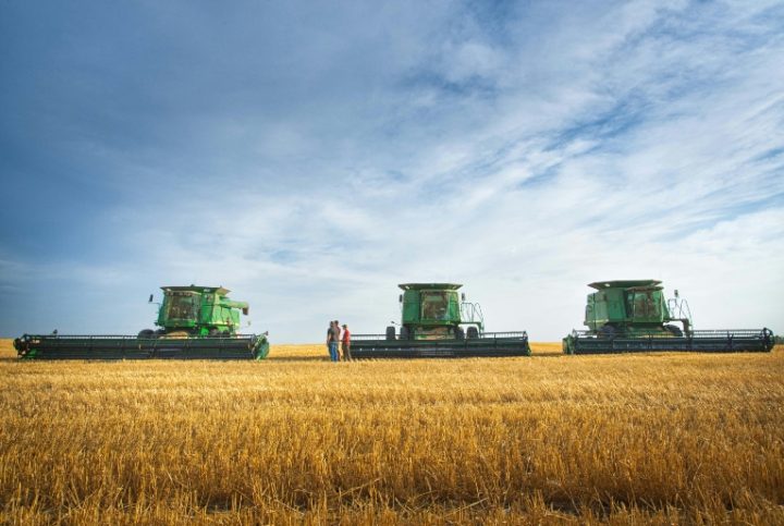 Agronegócio brasileiro exportou US$ 82 bilhões no primeiro semestre de 2025