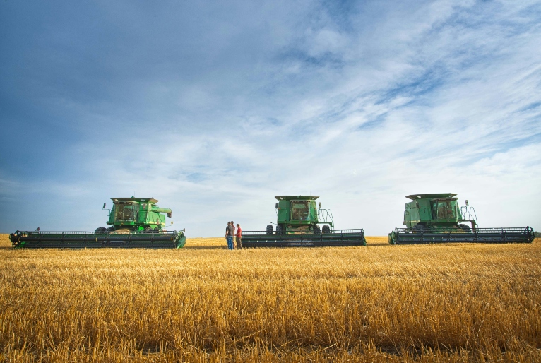 Agronegócio brasileiro exportou US$ 82 bilhões no primeiro semestre de 2025