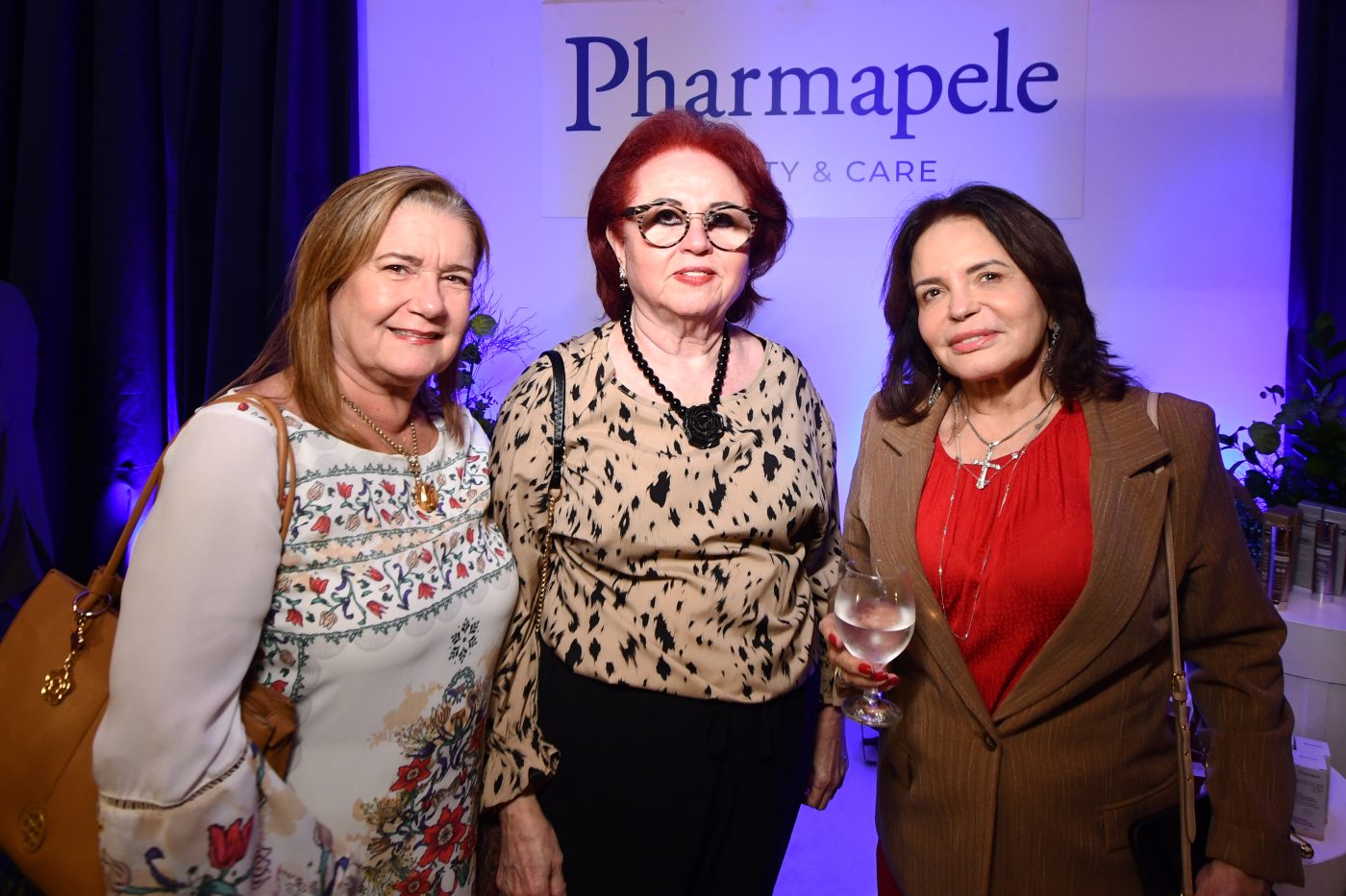 Aina Mara da Silveira, Wanda Lago e Marlene Pinho