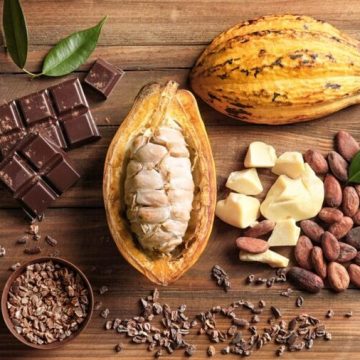 Bahia recebe nova edição do maior festival de chocolate e cacau da América Latina