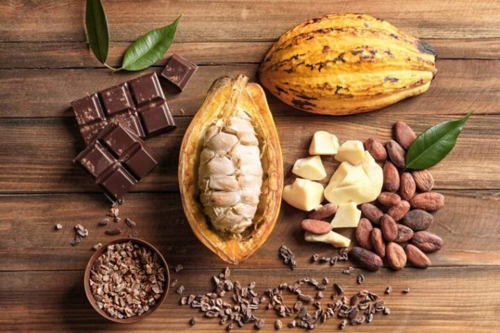 Bahia recebe nova edição do maior festival de chocolate e cacau da América Latina